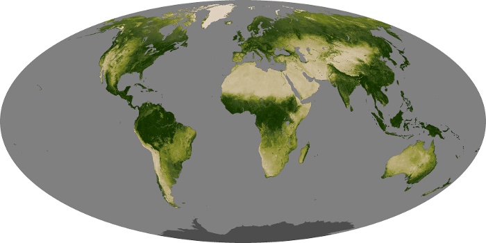 Global Map Vegetation Image 127