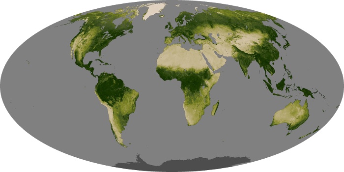 Global Map Vegetation Image 69