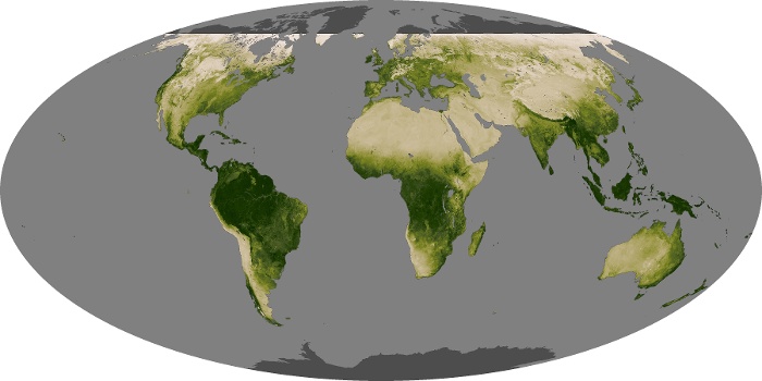 Global Map Vegetation Image 127