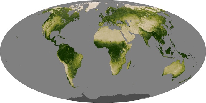 Global Map Vegetation Image 124