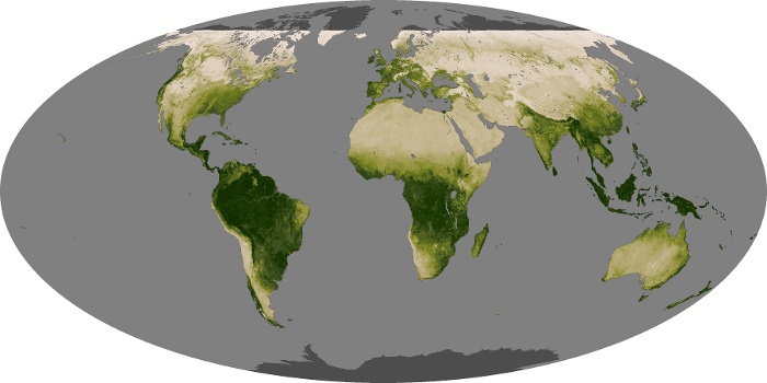 Global Map Vegetation Image 155