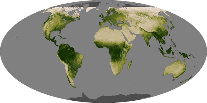 Global Map Vegetation Image 113