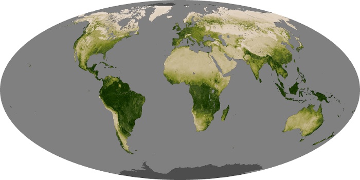 Global Map Vegetation Image 192