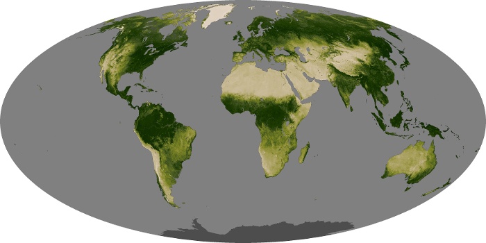 Global Map Vegetation Image 122