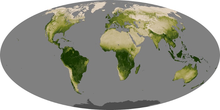 Global Map Vegetation Image 205