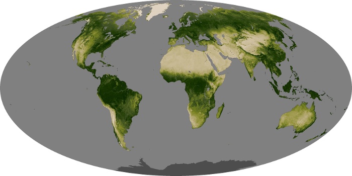 Global Map Vegetation Image 208