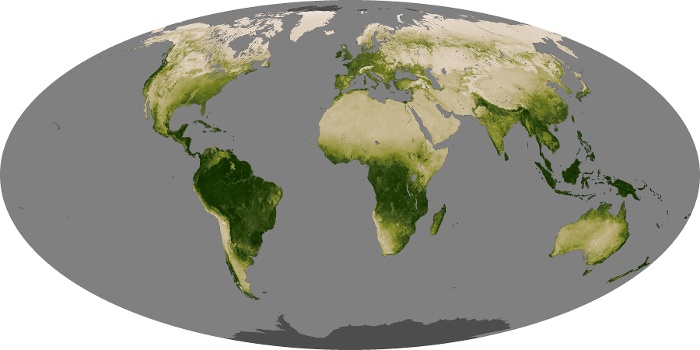 Global Map Vegetation Image 140