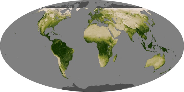 Global Map Vegetation Image 226