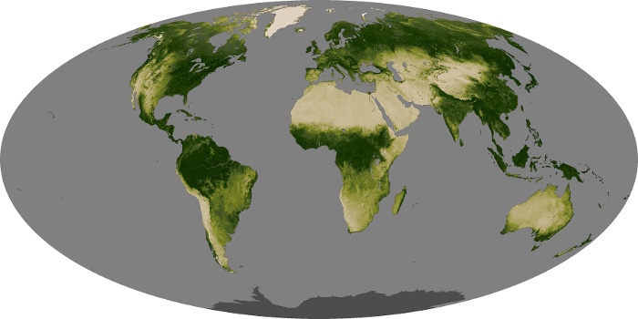 Global Map Vegetation Image 234