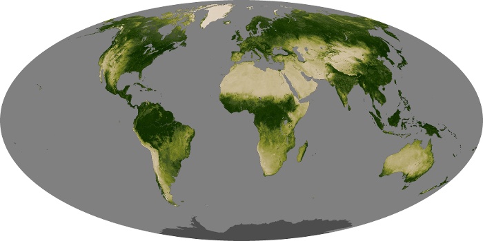 Global Map Vegetation Image 231