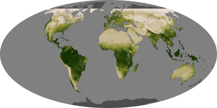 Global Map Vegetation Image 239