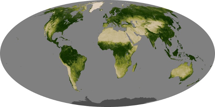 Global Map Vegetation Image 218