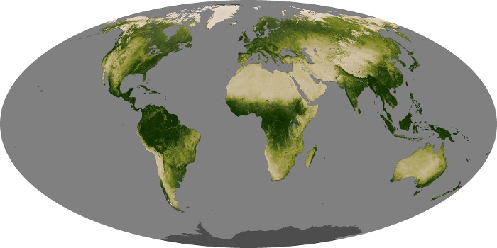 Global Map Vegetation Image 257