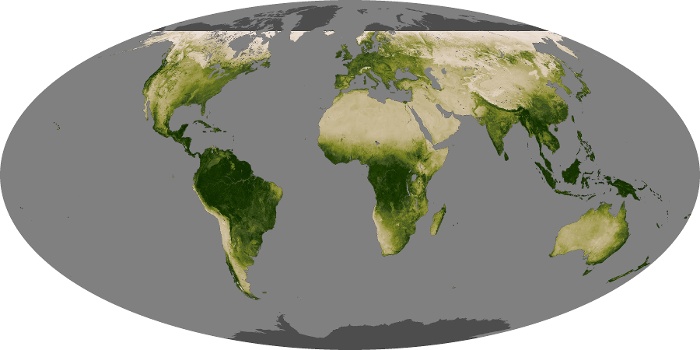 Global Map Vegetation Image 262