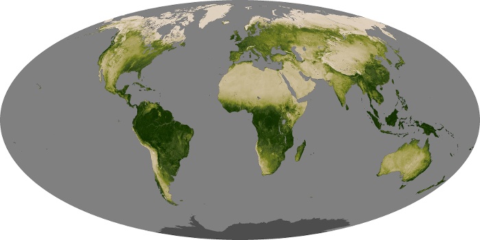 Global Map Vegetation Image 266
