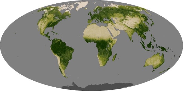 Global Map Vegetation Image 264