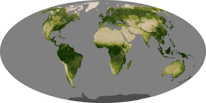 Global Map Vegetation Image 239