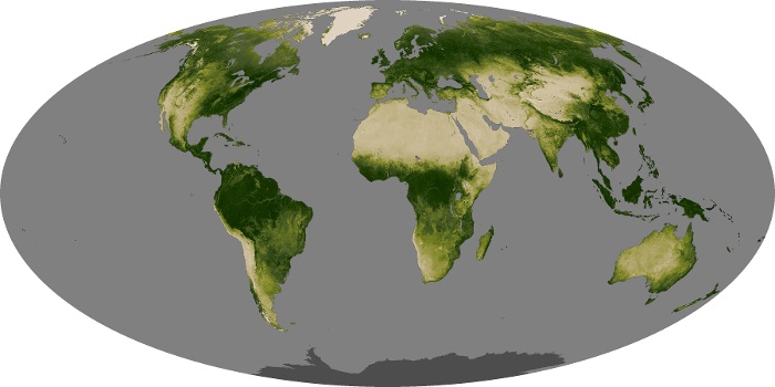 Global Map Vegetation Image 192