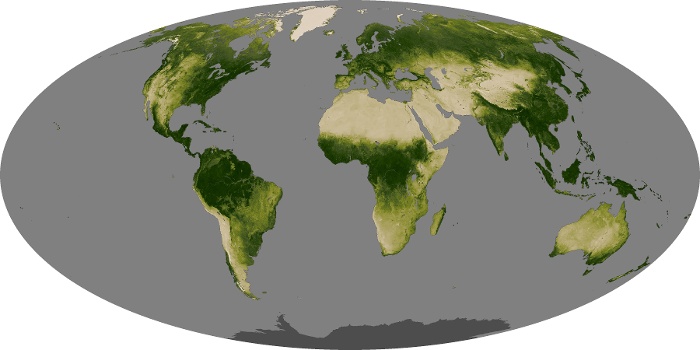 Global Map Vegetation Image 207