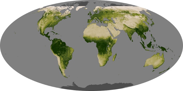 Global Map Vegetation Image 282