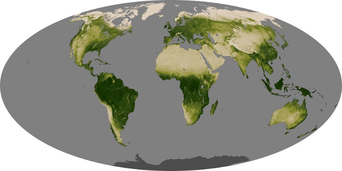 Global Map Vegetation Image 287