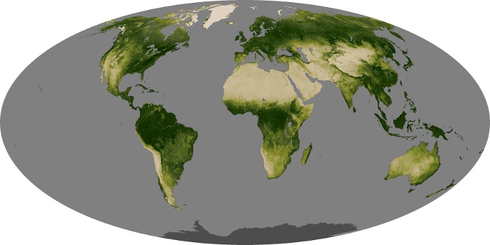 Global Map Vegetation Image 289