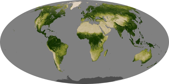 Global Map Vegetation Image 296