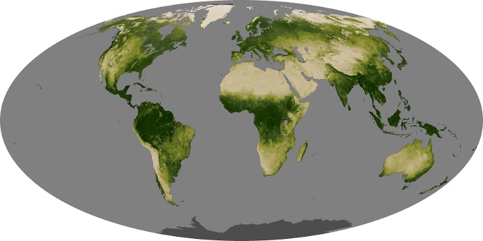 Global Map Vegetation Image 297