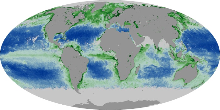 Global Map Chlorophyll Image 1