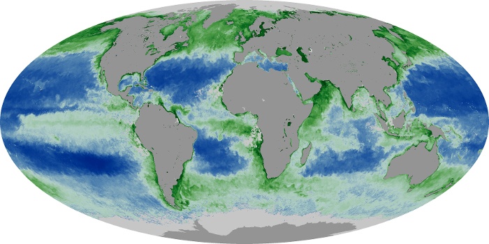 Global Map Chlorophyll Image 3