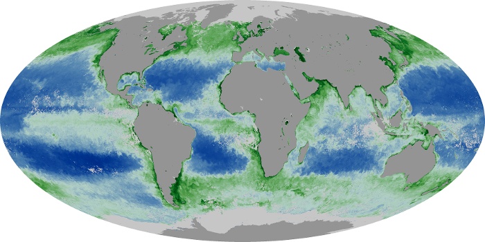 Global Map Chlorophyll Image 4