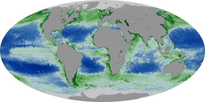 Global Map Chlorophyll Image 4