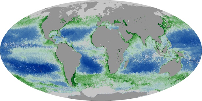 Global Map Chlorophyll Image 5