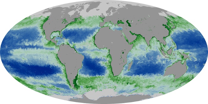 Global Map Chlorophyll Image 5