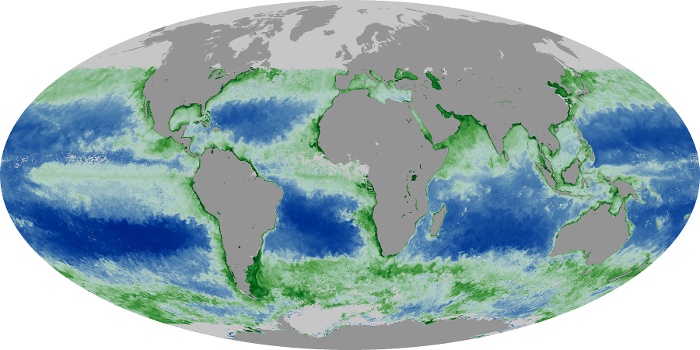 Global Map Chlorophyll Image 6