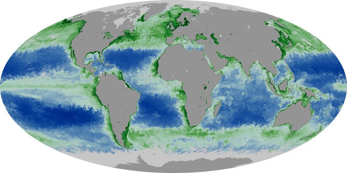 Global Map Chlorophyll Image 10