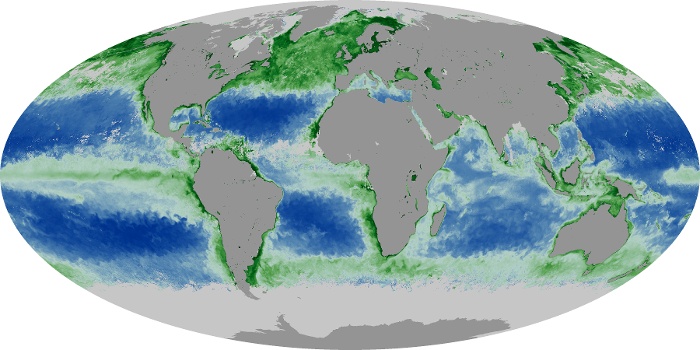 Global Map Chlorophyll Image 11