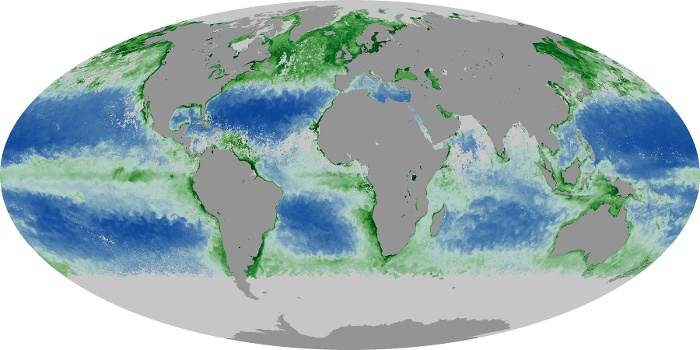 Global Map Chlorophyll Image 12