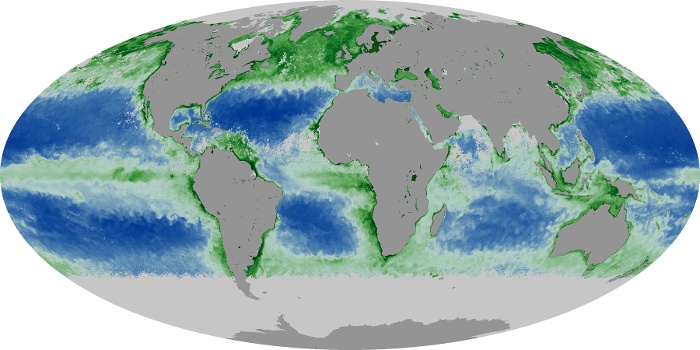 Global Map Chlorophyll Image 12