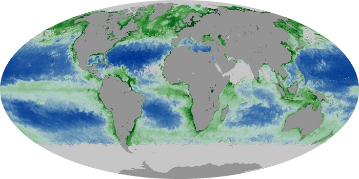 Global Map Chlorophyll Image 13