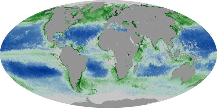 Global Map Chlorophyll Image 15