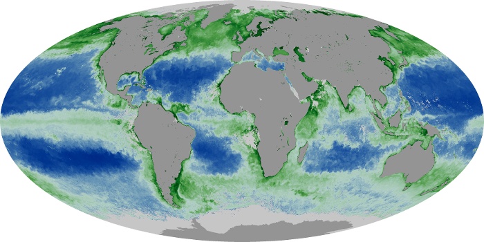 Global Map Chlorophyll Image 15