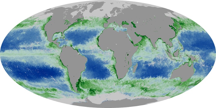 Global Map Chlorophyll Image 17