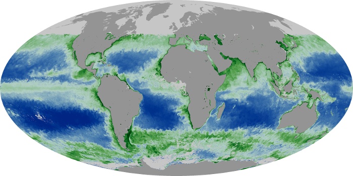 Global Map Chlorophyll Image 18