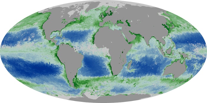 Global Map Chlorophyll Image 21