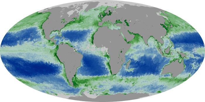 Global Map Chlorophyll Image 21