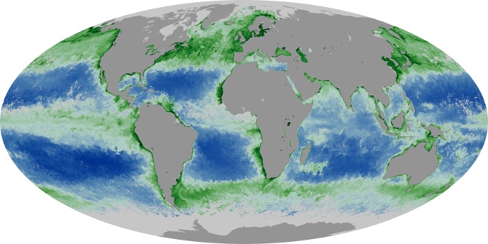 Global Map Chlorophyll Image 22