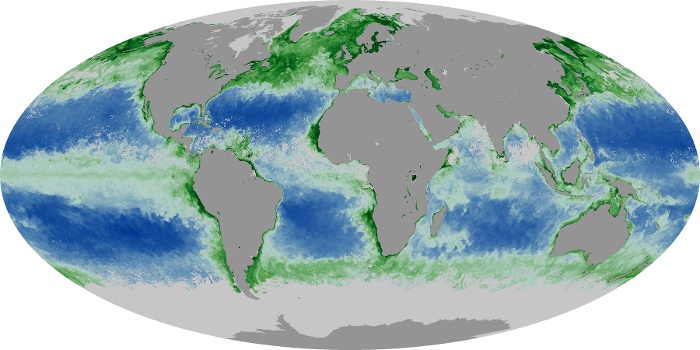 Global Map Chlorophyll Image 23