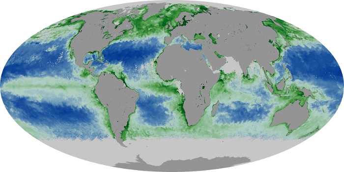 Global Map Chlorophyll Image 25