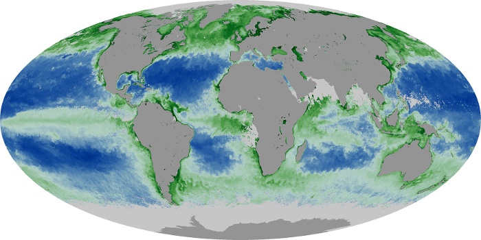 Global Map Chlorophyll Image 26